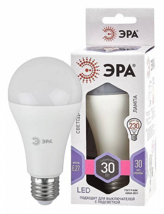 Лампа светодиодная ЭРА STD E27 30 Вт 6000 K Б0048017
