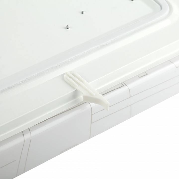 Накладной светильник Эра Классик SPB-6-24 Nancy S