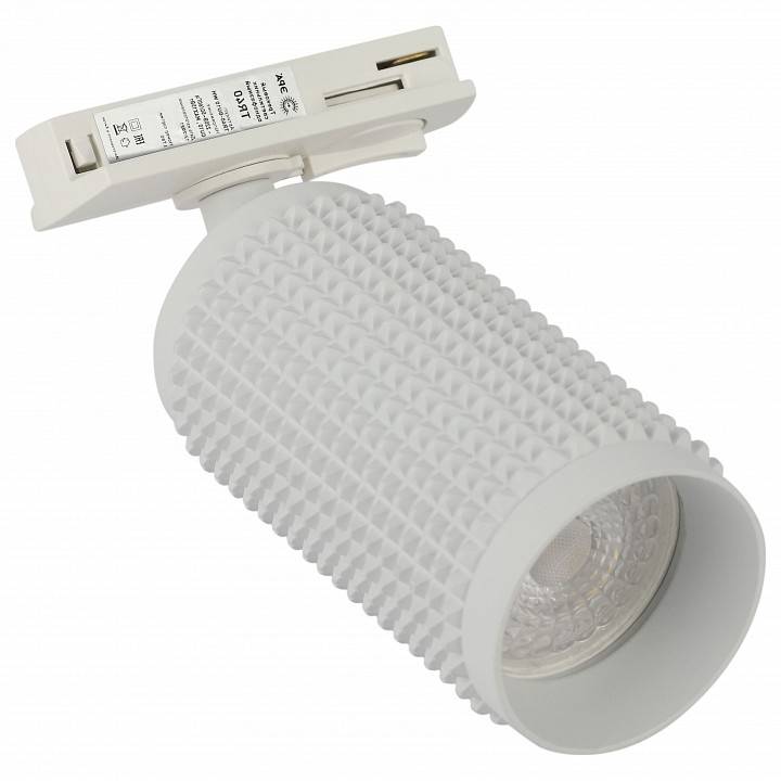 Светильник на штанге Эра  TR40-GU10 WH