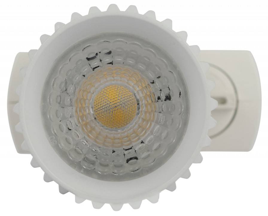 Светильник на штанге Эра  TR40-GU10 WH