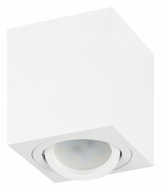 Светильник накладной ЭРА OL22 белый Б0054394