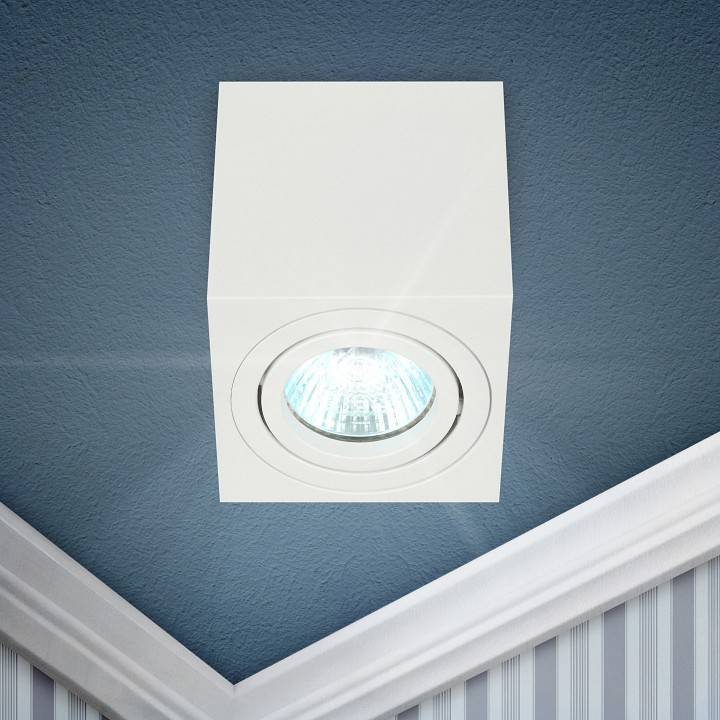 Светильник накладной ЭРА OL22 белый Б0054394