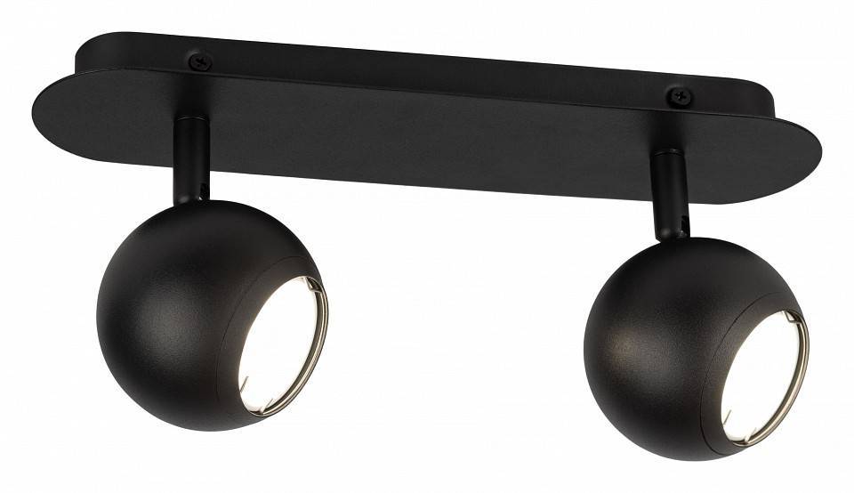 Спот ЭРА OL36-2 черный Б0056370