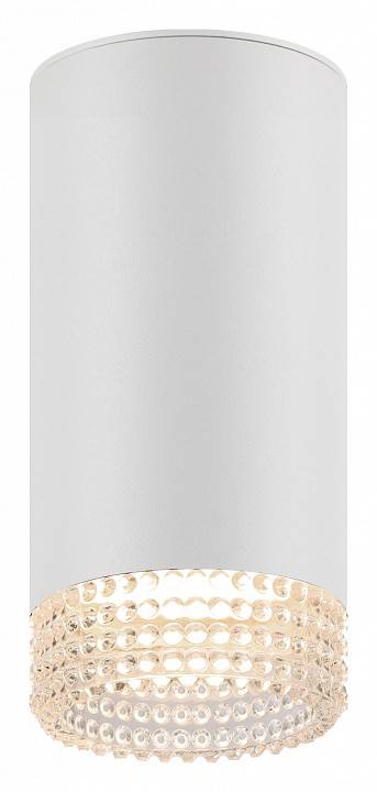 Светильник накладной ЭРА OL40 белый/прозрачный Б0058477