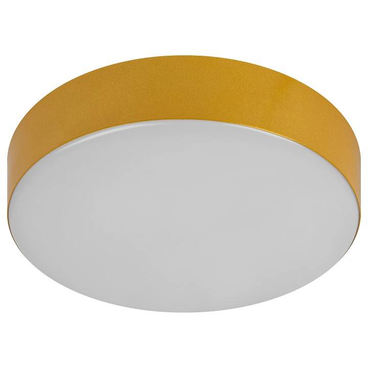 Накладной светильник ЭРА Relict 22 SPB-6-20 4К MG