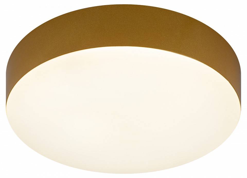 Накладной светильник ЭРА Relict 22 SPB-6-20 4К MG