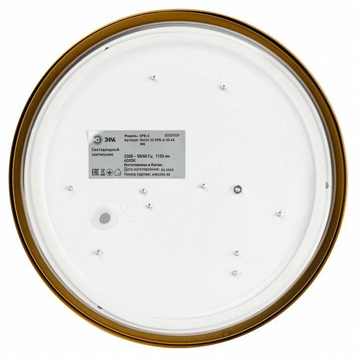 Накладной светильник ЭРА Relict 22 SPB-6-20 4К MG