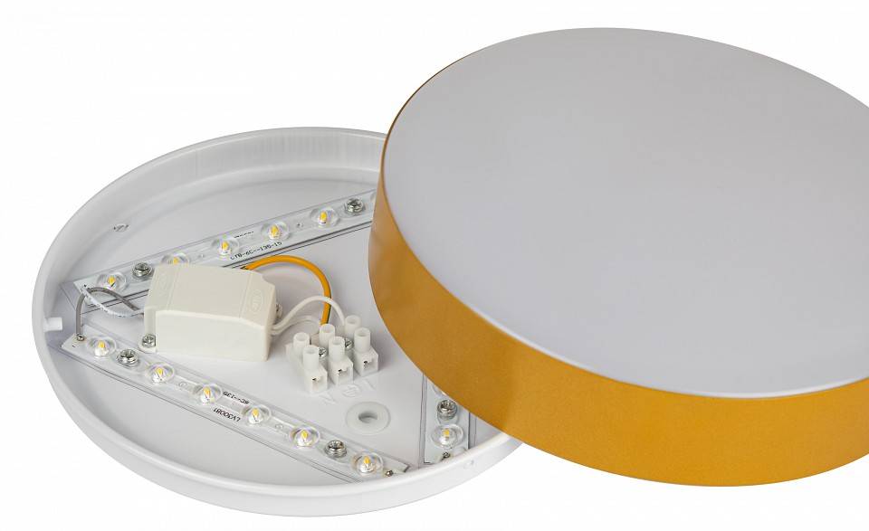 Накладной светильник ЭРА Relict 22 SPB-6-20 4К MG