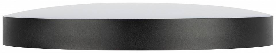 Накладной светильник Эра Relict Relict 38 SPB-6-40 4К BK