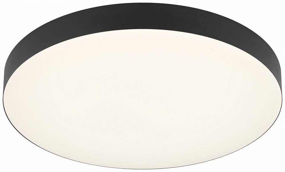 Накладной светильник Эра Relict Relict 38 SPB-6-40 4К BK