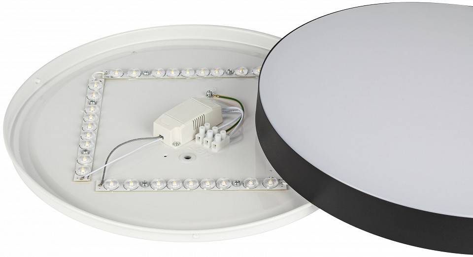 Накладной светильник Эра Relict Relict 38 SPB-6-40 4К BK