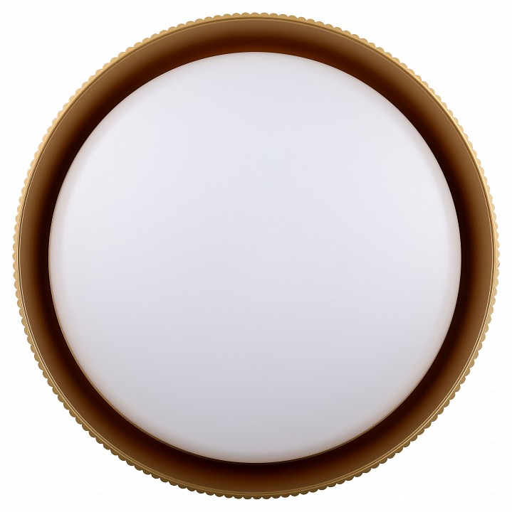 Накладной светильник Эра  SPB-6 Bella  48W-3K-6,5K BK