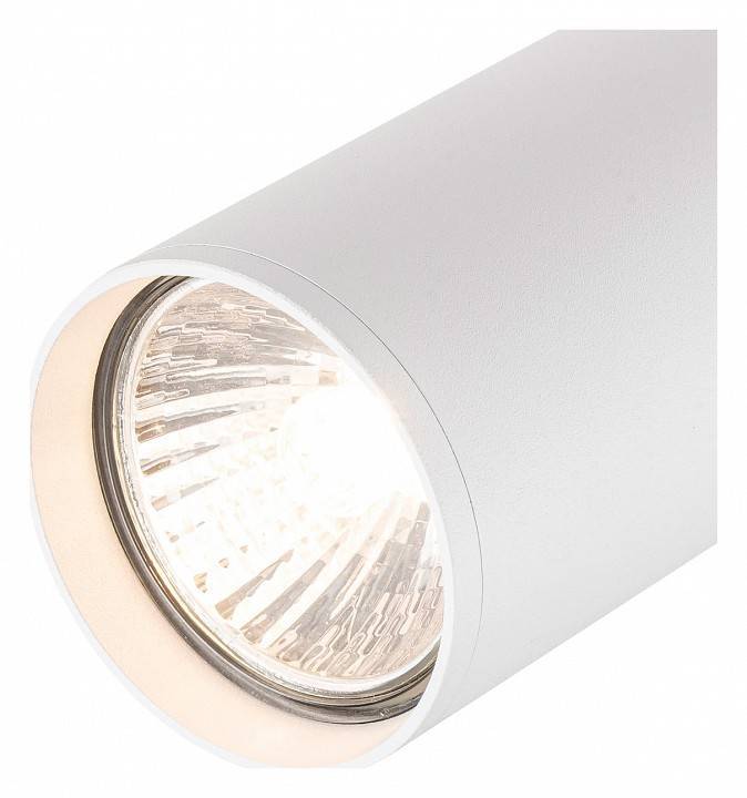 Светильник на штанге Escada 20001 1xE27 20001TRA/01 SWH