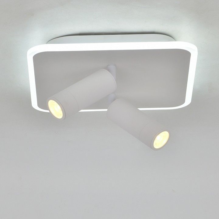 Накладной светильник Escada  20024SMA/01LED WH