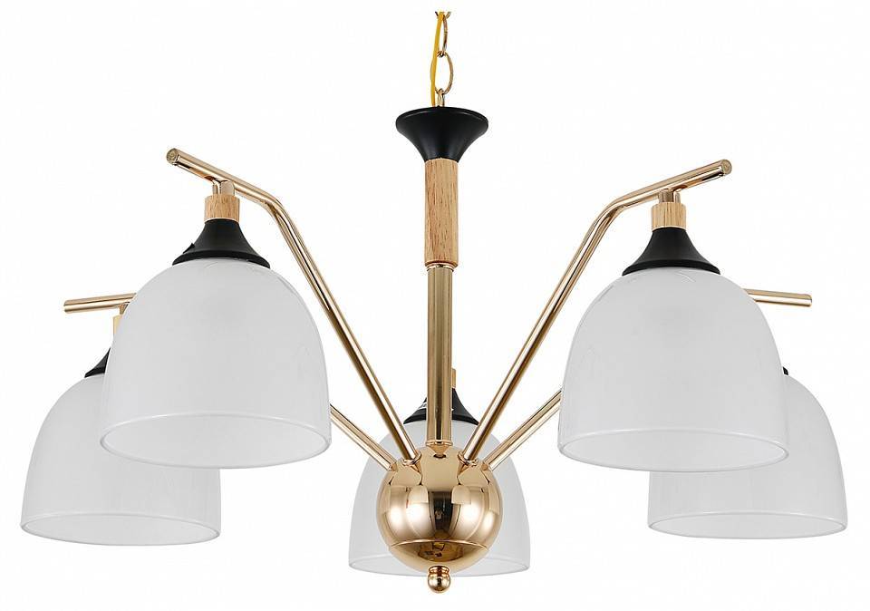 Подвесная люстра Escada Actinidia 2123/5P