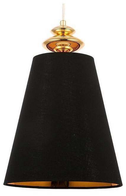 Подвесной светильник Evoluce Rionfo 1 лампа SL1137.203.01