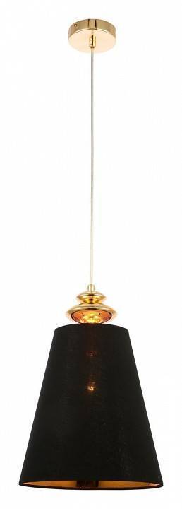 Подвесной светильник Evoluce Rionfo 1 лампа SL1137.203.01