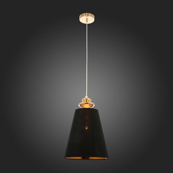 Подвесной светильник Evoluce Rionfo 1 лампа SL1137.203.01