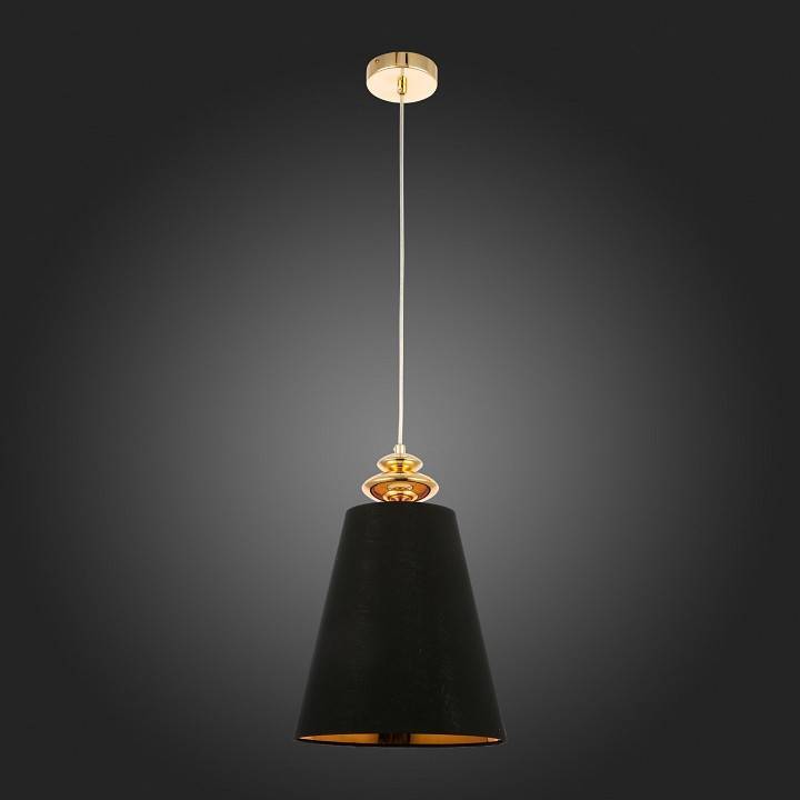 Подвесной светильник Evoluce Rionfo 1 лампа SL1137.203.01