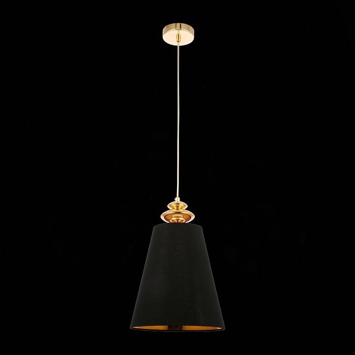 Подвесной светильник Evoluce Rionfo 1 лампа SL1137.203.01