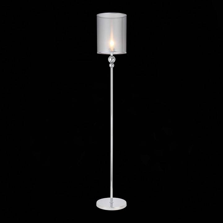 Торшер Evoluce Pazione SLE107105-01