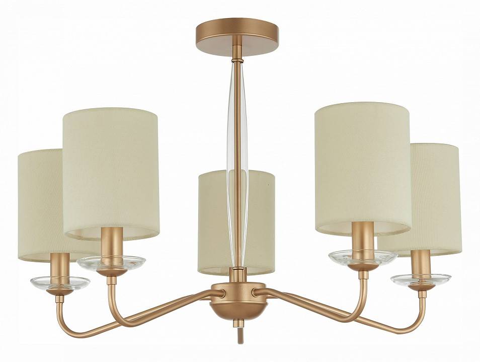 Люстра на штанге EVOLUCE Rita 5 ламп E14 SLE108002-05