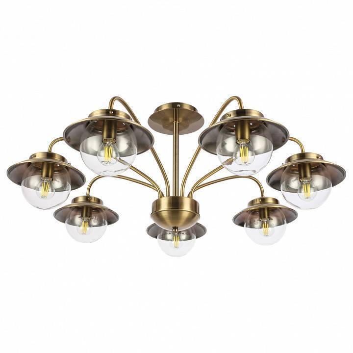 Потолочная люстра EVOLUCE Garonni SLE110102-07