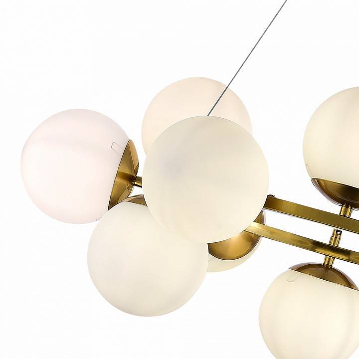 Подвесная люстра EVOLUCE Fratta 12xE14 SLE1191-203-12