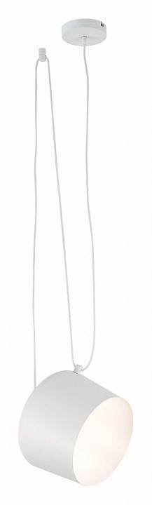 Подвесной светильник EVOLUCE Trieste SLE120653-01