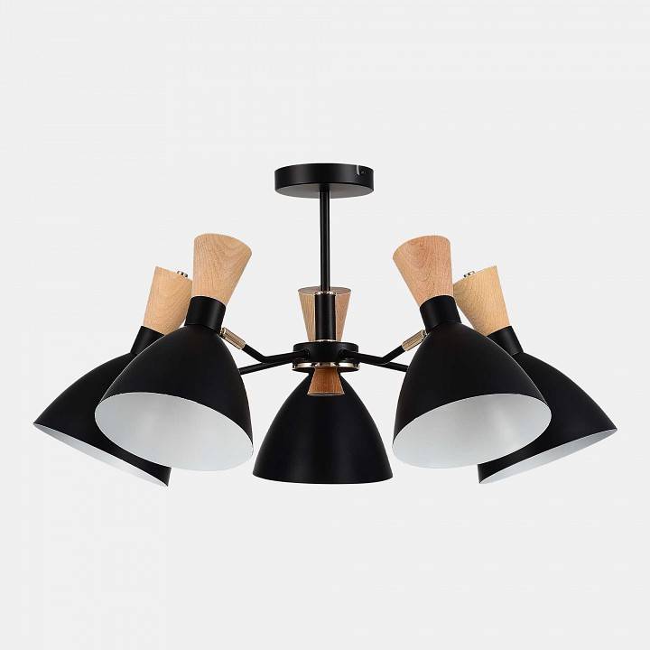 Люстра на штанге EVOLUCE VISTA SLE1256-402-05