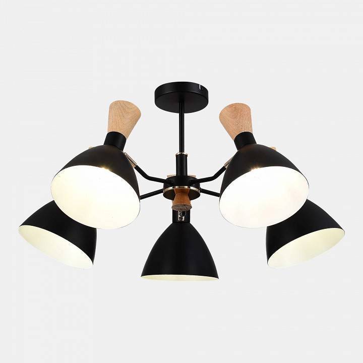 Люстра на штанге EVOLUCE VISTA SLE1256-402-05