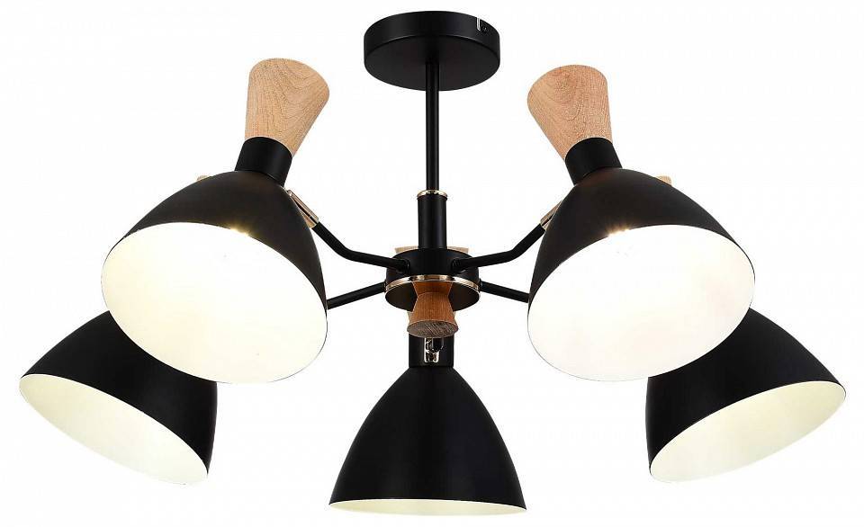 Люстра на штанге EVOLUCE VISTA SLE1256-402-05