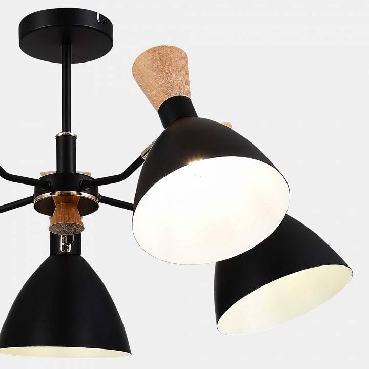 Люстра на штанге EVOLUCE VISTA SLE1256-402-05