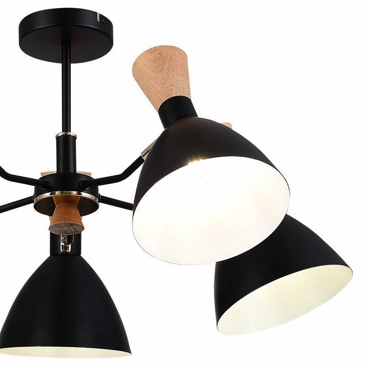 Люстра на штанге EVOLUCE VISTA SLE1256-402-05