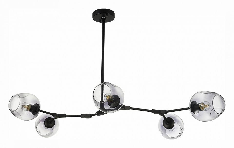 Подвесная люстра EVOLUCE Rametto 5 ламп SLE154843-05