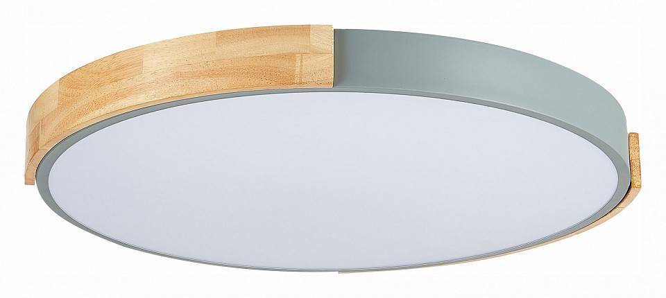 Накладной светильник EVOLUCE Delia SLE201372-01