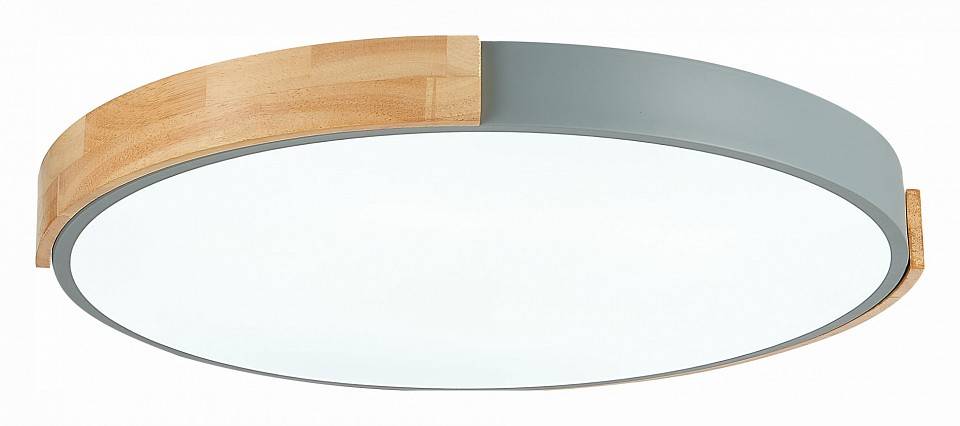 Накладной светильник EVOLUCE Delia SLE201372-01