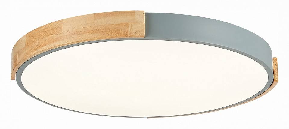 Накладной светильник EVOLUCE Delia SLE201372-01