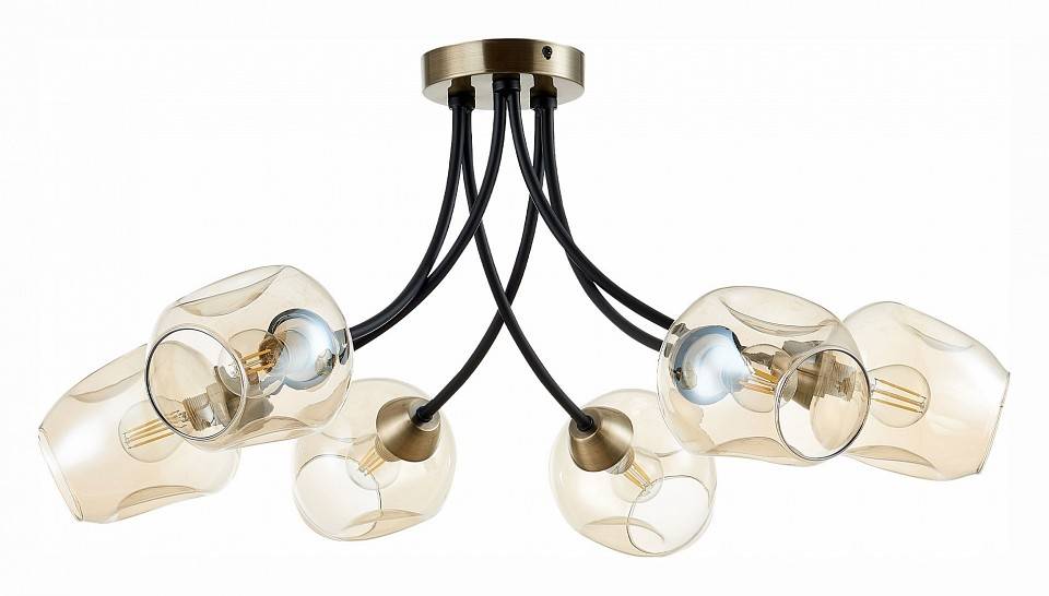 Потолочная люстра EVOLUCE Besano 6 ламп SLE205302-06