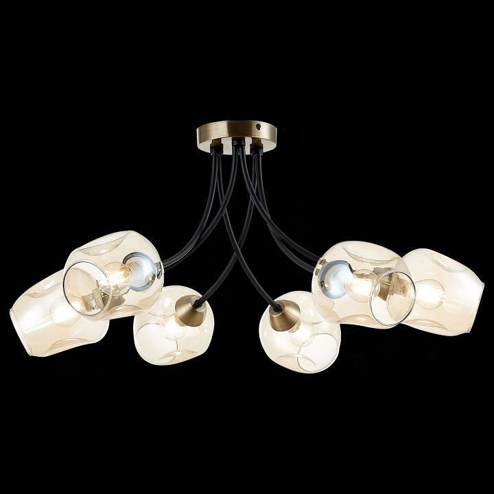 Потолочная люстра EVOLUCE Besano 6 ламп SLE205302-06