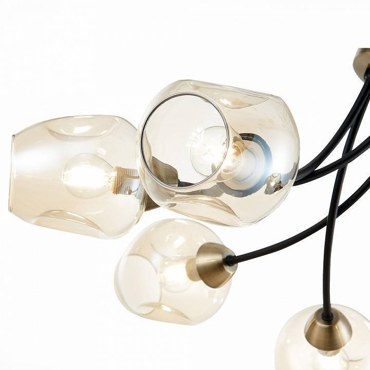 Потолочная люстра EVOLUCE Besano 6 ламп SLE205302-06