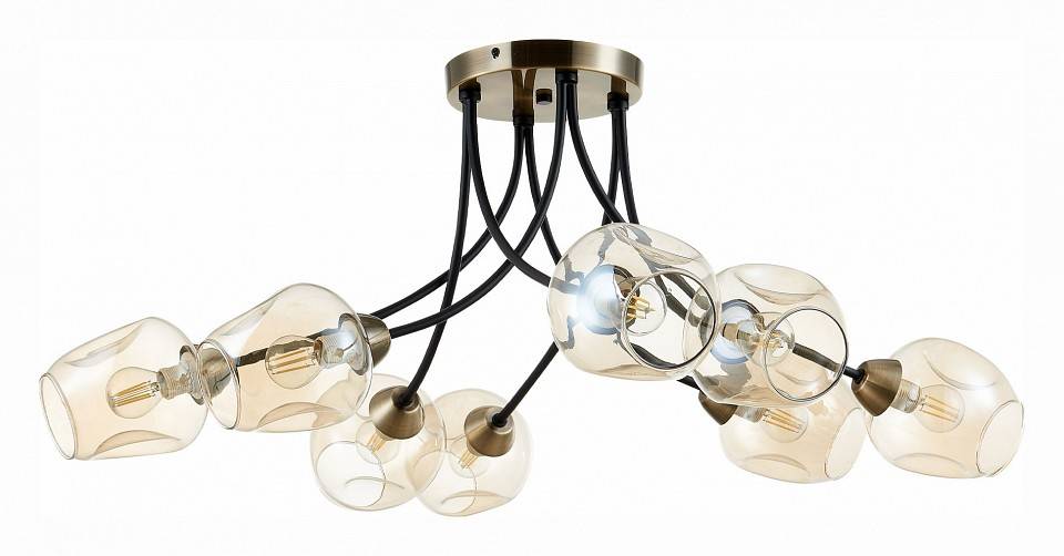 Потолочная люстра EVOLUCE Besano 8 ламп SLE205302-08