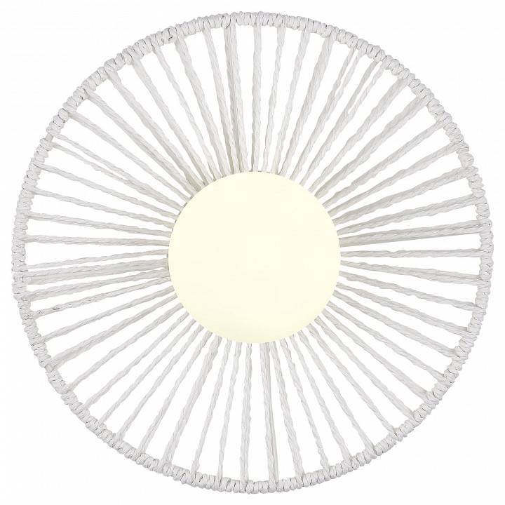 Накладной светодиодный светильник EVOLUCE LOOM 50 Вт SLE6022-501-01