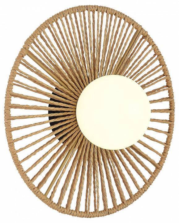 Накладной светодиодный светильник EVOLUCE LOOM 60 Вт SLE6022-601-01