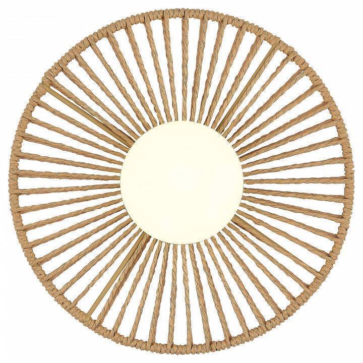 Накладной светодиодный светильник EVOLUCE LOOM 60 Вт SLE6022-601-01