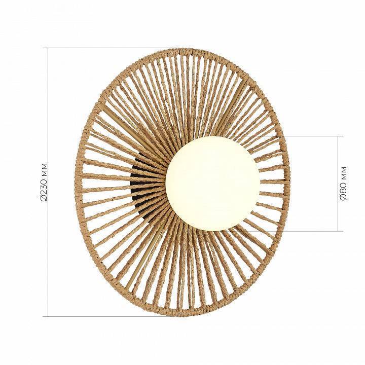 Накладной светодиодный светильник EVOLUCE LOOM 60 Вт SLE6022-601-01