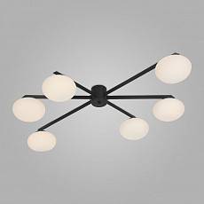 Потолочная люстра Eurosvet Opaline 70220/6 черный 70220/6