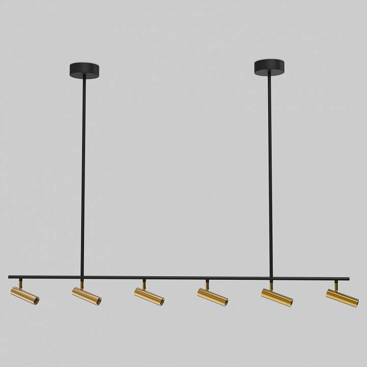 Светильник на штанге Eurosvet Epiphania 20252/6 LED черный/латунь