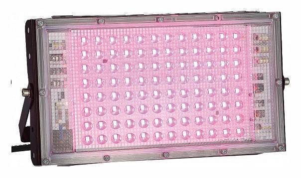 Фитопрожектор светодиодный Farlight 100 Вт FAR002394