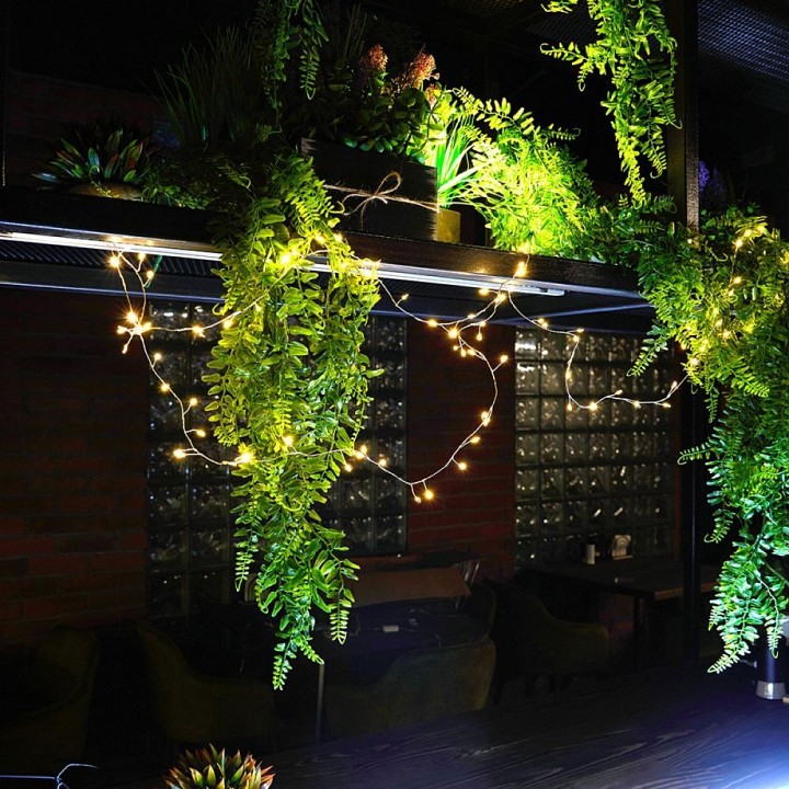 Гирлянда Нить Feron CL584 Роса теплый белый 2 м на батарейках IP20 51447